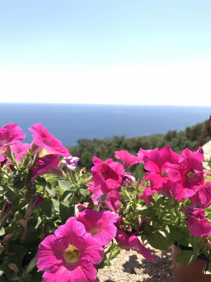 Galatea Casa Vacanze Gagliano del Capo Exterior foto